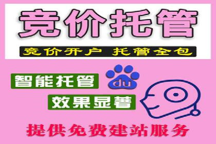 sem百度竞价成功案例：如何精准投放广告